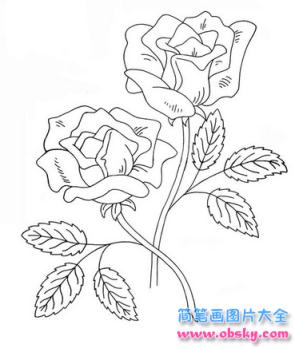 简笔画漂亮的玫瑰花的具体画法步骤图片教程