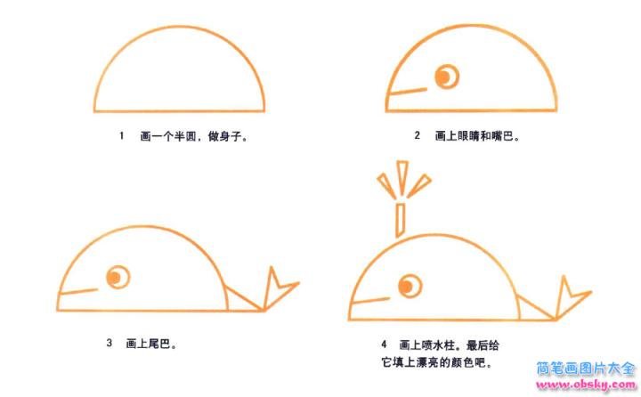 彩色简笔画鲸鱼的图片教程