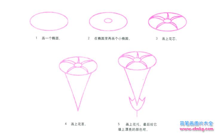 彩色简笔画牵牛花的图片教程