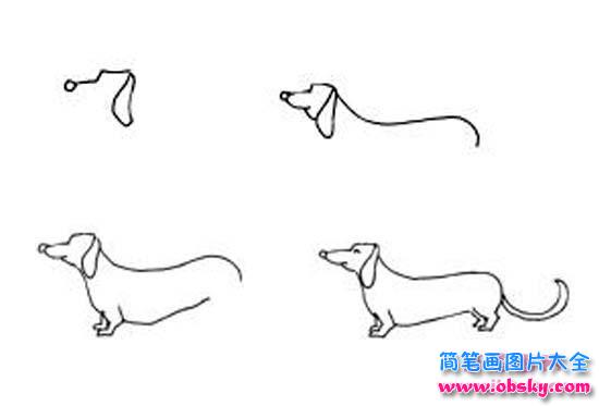关于狗的简笔画画法步骤图：怎么画狗