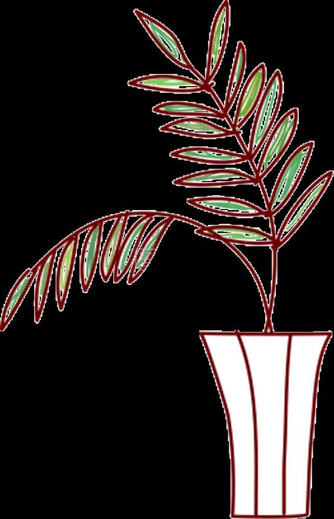 叶子简笔画 叶子简笔画彩色