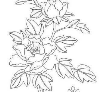 牡丹花的简笔画 牡丹花的简笔画简单漂亮