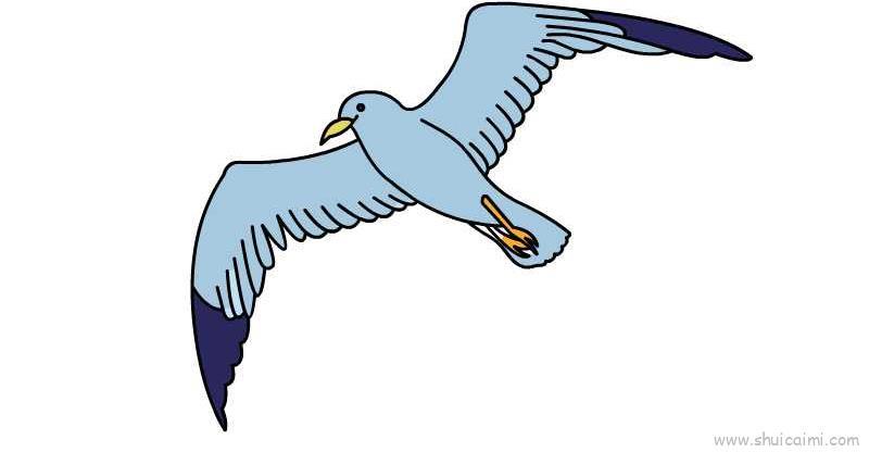 海鸥儿童画怎么画 海鸥简笔画顺序