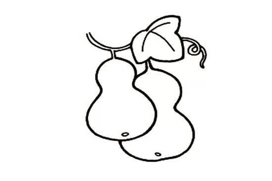 葫芦简笔画图片大全集 葫芦简笔画的图片