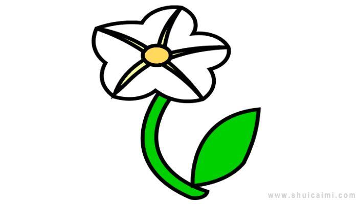 月光花简笔画怎么画 月光花简笔画顺序