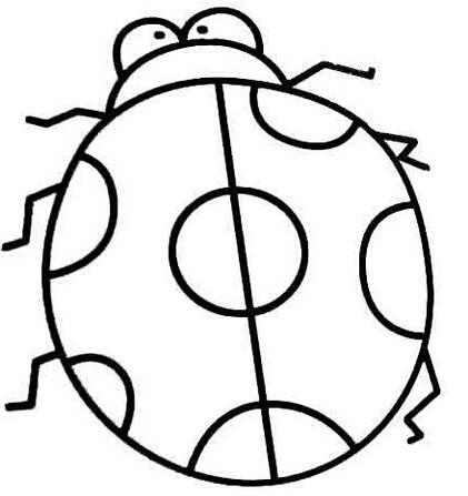 七星瓢虫简笔画 七星瓢虫简笔画图片大全
