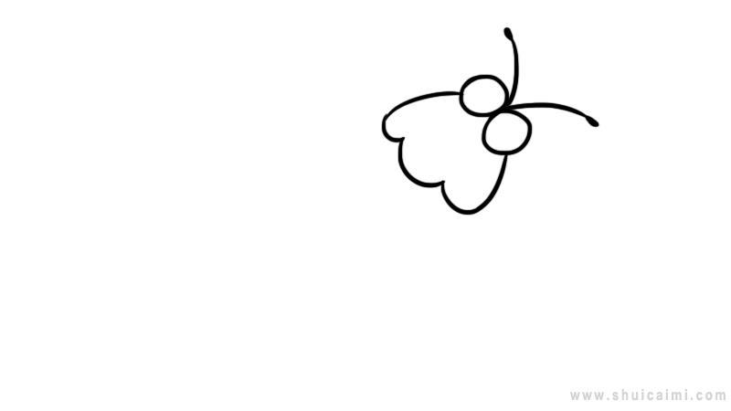 飞蛾简笔画怎么画 飞蛾简笔画画法