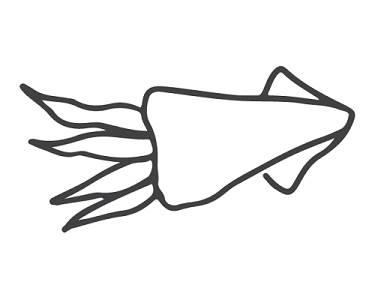 鱿鱼简笔画 铁板鱿鱼简笔画