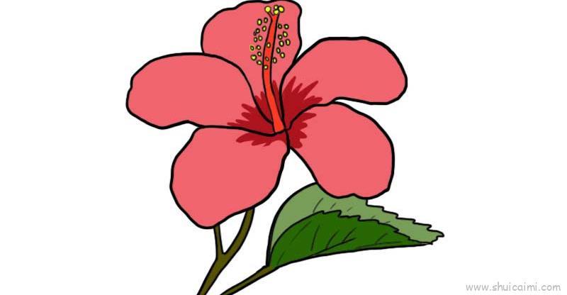 扶桑花儿童画怎么画 扶桑花简笔画顺序