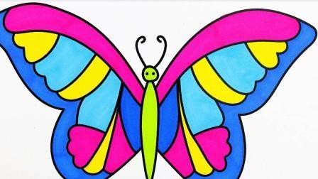 蝴蝶简笔画 蝴蝶简笔画彩色