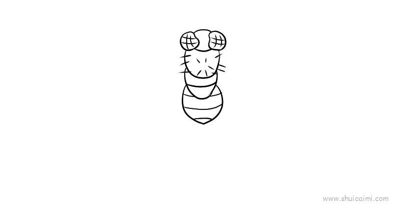 苍蝇儿童画怎么画 苍蝇简笔画简单