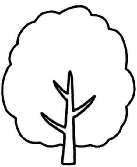 大树的简笔画 大树的简笔画图片