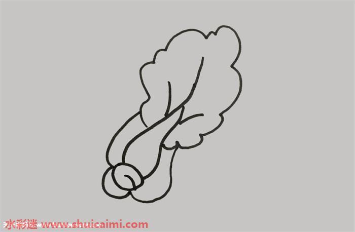 青菜怎么画 青菜简笔画简单易画彩色