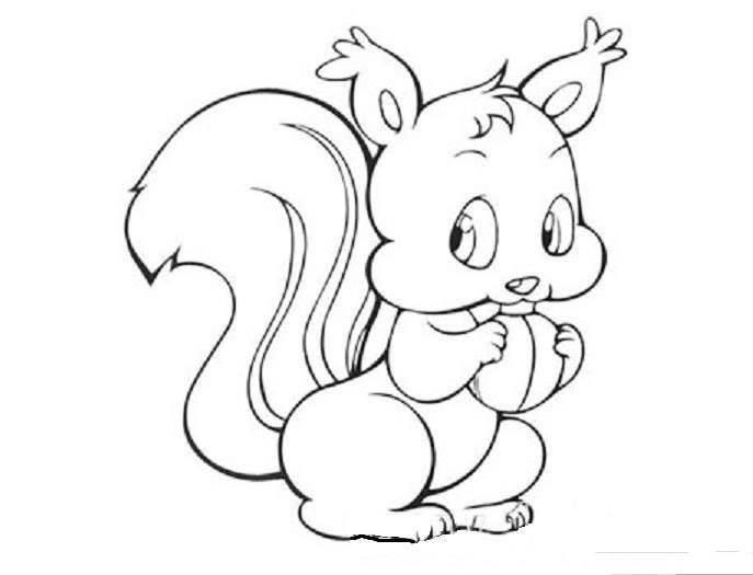 松鼠简笔画 松鼠简笔画图片加颜色
