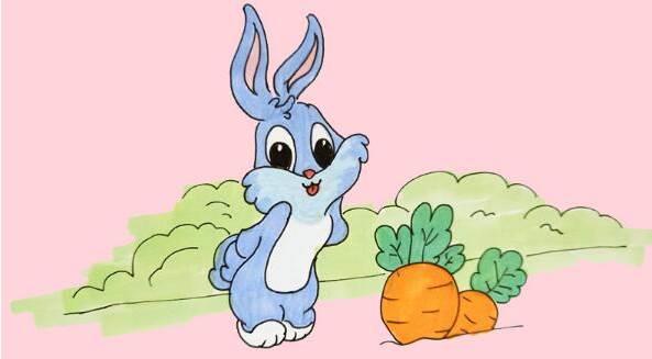 兔子简笔画彩色 兔子简笔画彩色可爱卡通