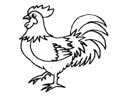 公鸡简笔画 公鸡简笔画怎么画