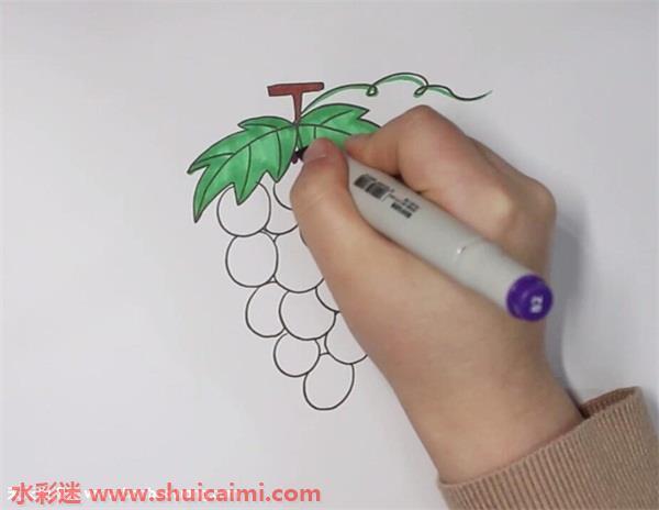 葡萄怎么画 葡萄简笔画彩色