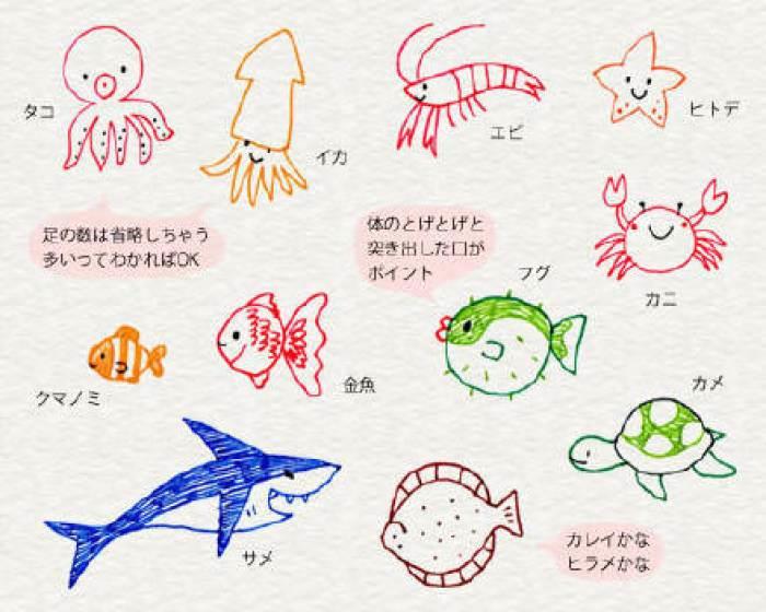 海洋生物简笔画 海洋生物简笔画彩色