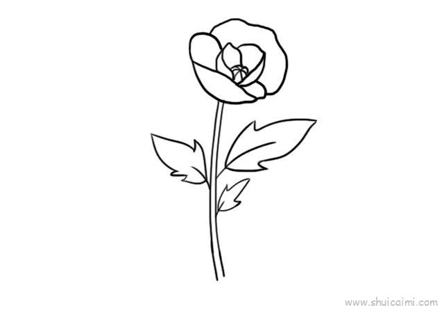 罂栗花儿童画怎么画 罂栗花简笔画好看