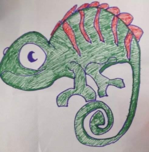 变色龙简笔画 变色龙简笔画彩色