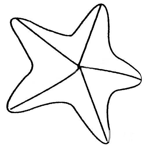 海星简笔画 海星简笔画彩色