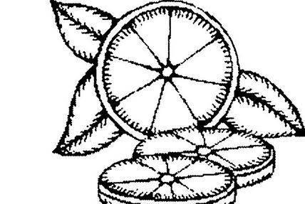 橘子简笔画 橘子简笔画图片