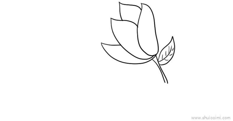 玉兰花儿童画怎么画 玉兰花简笔画好看