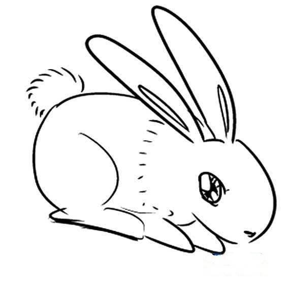 小白兔的简笔画 小白兔的简笔画图片