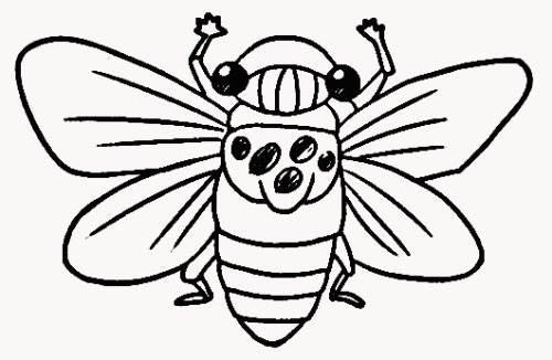 知了简笔画 知了简笔画图片