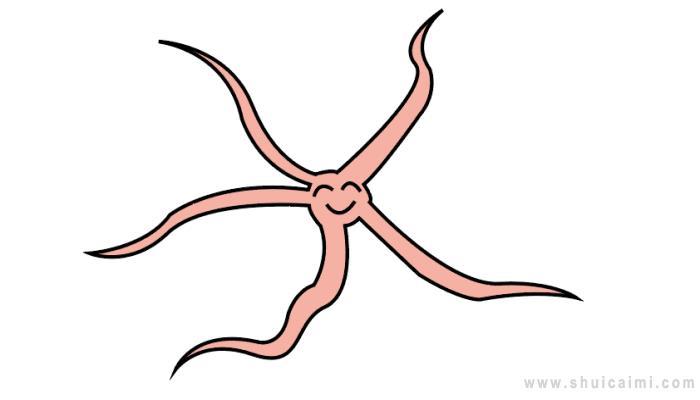 蛇海星简笔画怎么画 蛇海星简笔画简单又好看