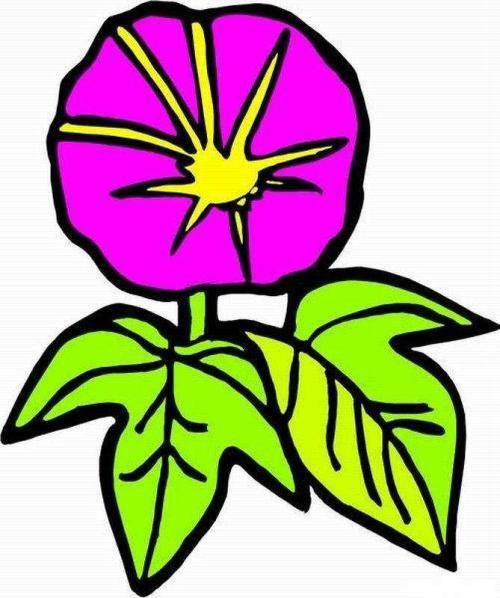 花简笔画 花简笔画罂粟花