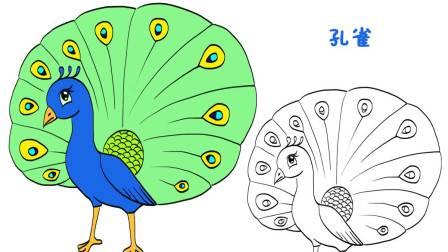 孔雀的简笔画 孔雀的简笔画图片