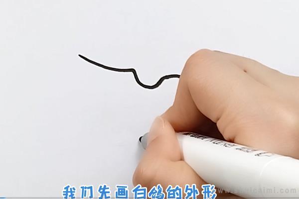 白鸽简笔画怎么画 白鸽简笔画图片