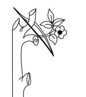 边框简笔画 边框简笔画简单漂亮