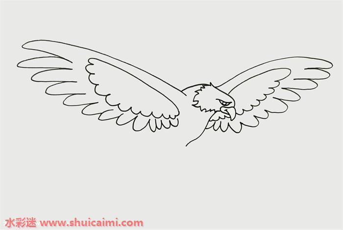 老鹰霸气怎么画 霸气老鹰简笔画画法