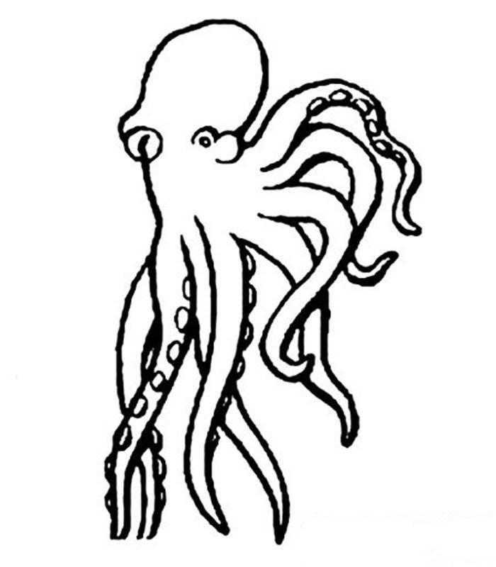 章鱼简笔画 章鱼简笔画画法可爱