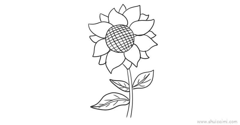 向日葵儿童画怎么画 向日葵简笔画画法