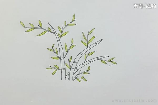 竹子简笔画怎么画 竹子简笔画简单