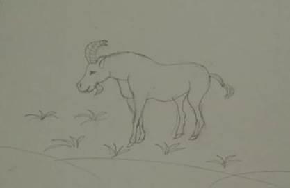 羊简笔画 羊简笔画简单可爱