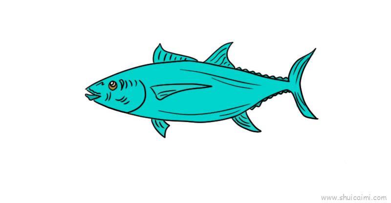 青鱼儿童画怎么画 青鱼简笔画步骤