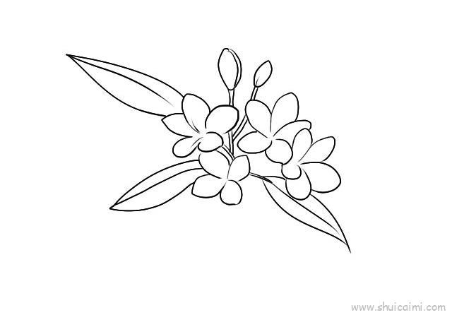 鸡蛋花儿童画怎么画 鸡蛋花简笔画步骤
