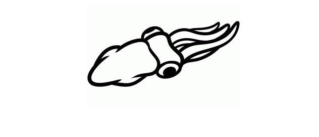 鱿鱼简笔画 铁板鱿鱼简笔画