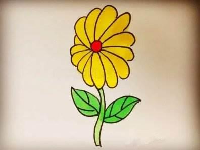 画菊花简笔画图片大全 画菊花简笔画图片大全一年级