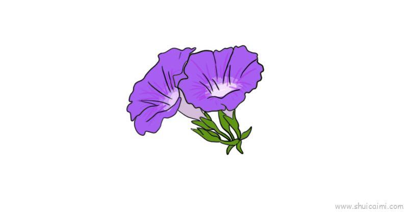 牵牛花儿童画怎么画 牵牛花简笔画画法