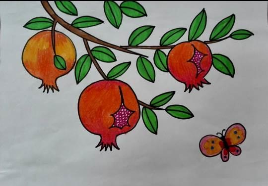 石榴简笔画 石榴简笔画图片大全大图