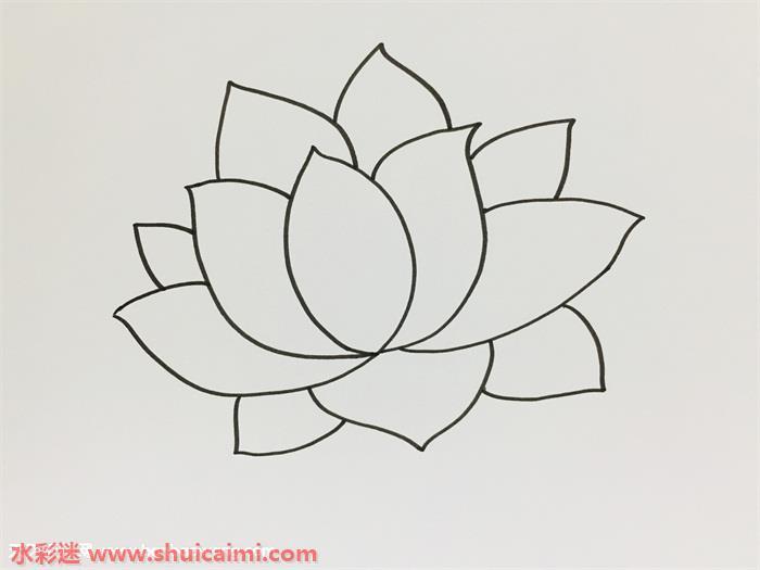 荷花怎么画 简笔画卡通荷花教程步骤