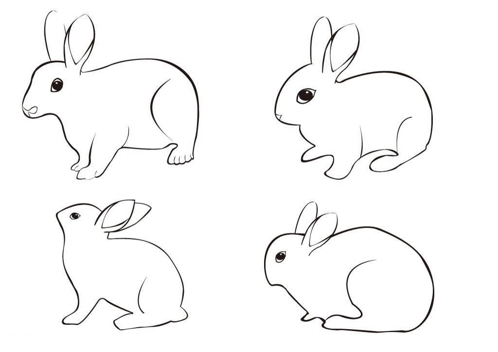 画小白兔简笔画 儿童画小白兔简笔画