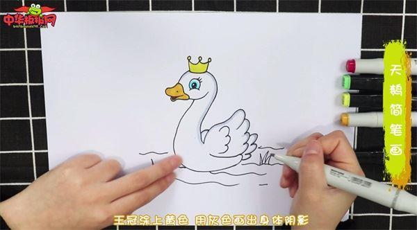天鹅怎么画 天鹅简笔画简单又漂亮彩色
