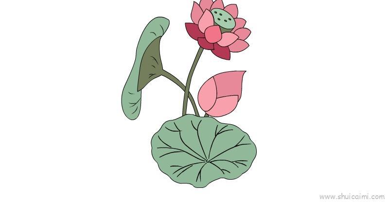 荷花儿童画怎么画 荷花简笔画图片大全