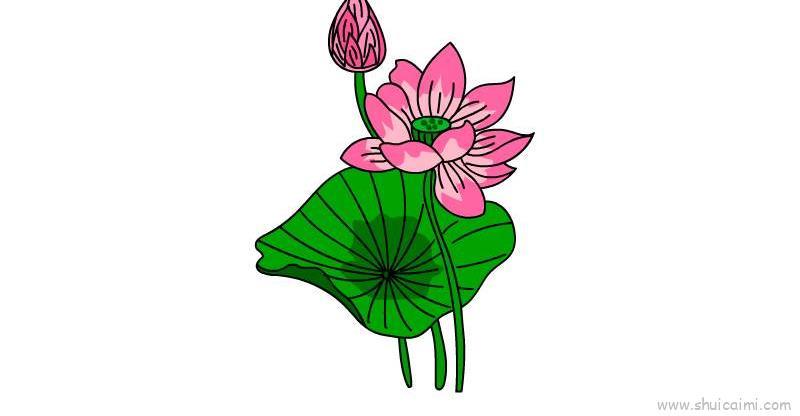 荷花儿童画怎么画 荷花简笔画步骤
